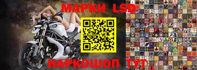 МДПВ Камышлов
